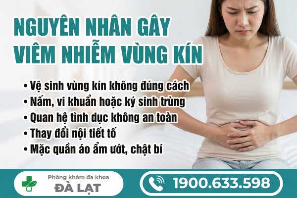 Hình ảnh minh họa